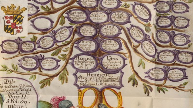 El pasado ya no es lo que era - Heráldica, linajes y genealogía - 02/02/20 - Escuchar ahora