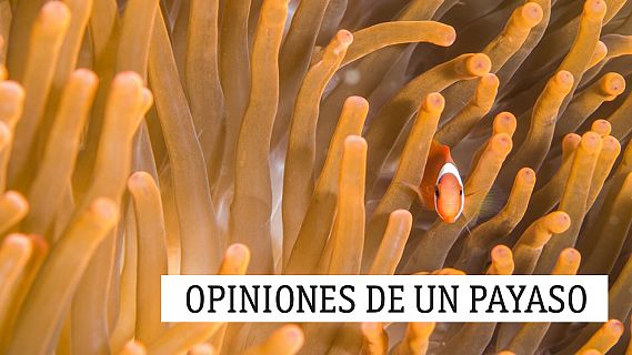 Opiniones de un payaso