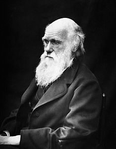 Sapiens - Sapiens - Charles Darwin y "El origen de las especies" - 08/02/20 - escuchar ahora