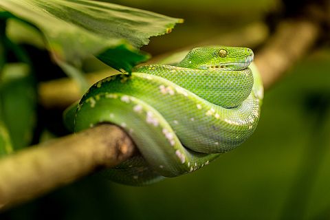 Animales y medio ambiente