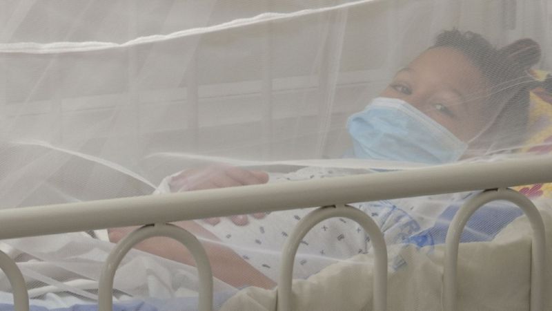 Reportajes 5 Continentes - La lucha contra el dengue en Colombia - Escuchar ahora 