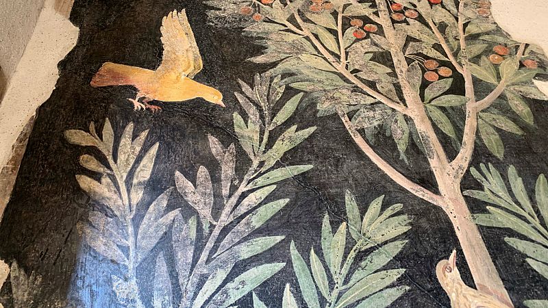 14 horas - La Casa de los Amantes en Pompeya, abierta tras una compleja restauración - Escuchar ahora