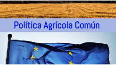 Todo noticias mañana - Comillas-Icade: "España no tiene mucho margen de negociación en los Presupuestos Europeos"