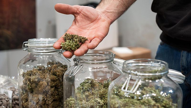  Las mañanas de RNE con Íñigo Alfonso - Marihuana hasta cinco veces más potente - Escuchar ahora