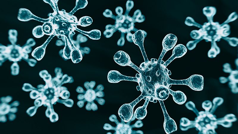 14 horas - ¿Cuál es la situación actual del coronavirus en el mundo? - Escuchar ahora