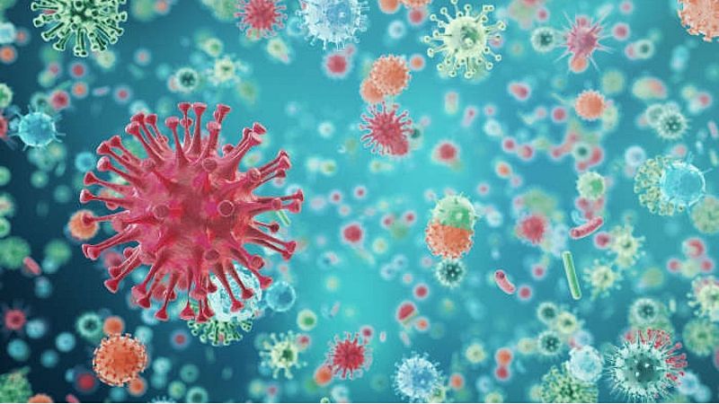 Gente despierta - El Pifostio - Guerra de virus - Escuchar ahora