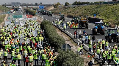 Las maanas de RNE con igo Alfonso - Los agricultores de Cantabria toman el relevo a las protestas de Huelva