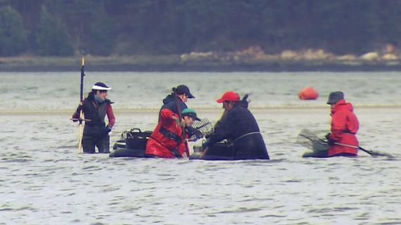 Españoles en la mar