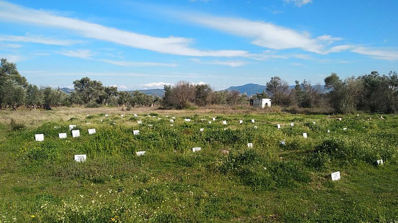 24 horas - Turquía planta cara a la UE mientras en Lesbos aumentan las sepulturas sin nombre de refugiados - Escuchar ahora 