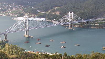 Boletines RNE - Ms de 200 aves muertas en la ra Vigo por un vertido de petrleo - Escuchar ahora