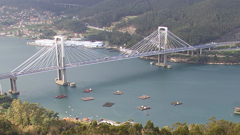  Boletines RNE - Más de 200 aves muertas en la ría Vigo por un vertido de petróleo - Escuchar ahora