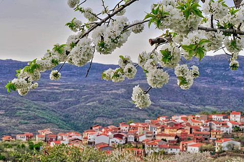 Extremadura Informativos