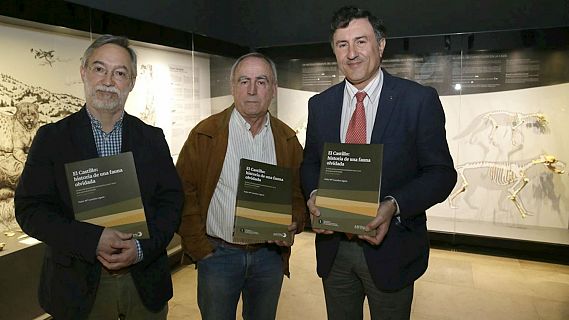 MVPAC, Prehistoria y Arqueología