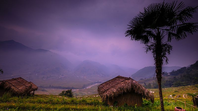 24 horas - La vida imaginada: "Ru", un viaje a Vietnam por los recuerdos - Escuchar ahora