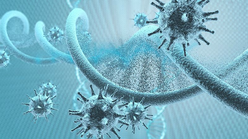 14 horas - ¿Por qué algunas personas tardan más en eliminar el coronavirus? - Escuchar ahora