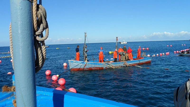 En primera persona - La pesca tradicional de Almadraba - 28/04/20 - escuchar ahora