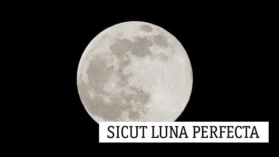 Sicut luna perfecta