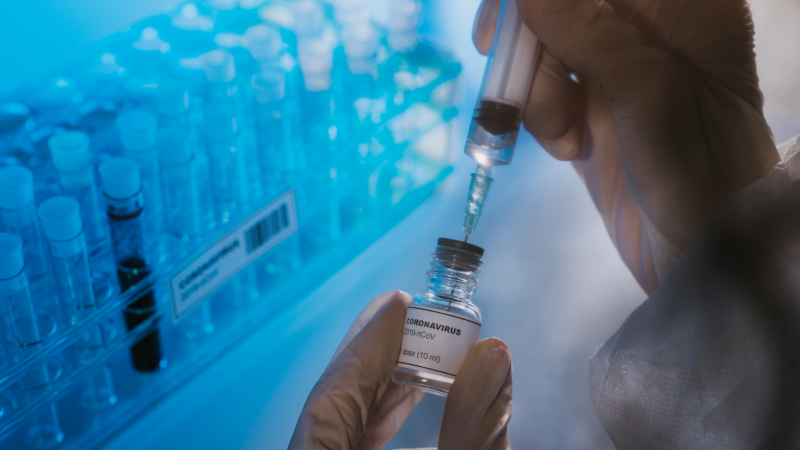 Boletines RNE - El CSIC ensayará la próxima semana una vacuna contra la covid-19 en animales  - Escuchar ahora