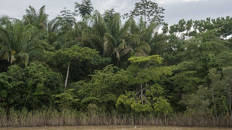 España a las 8 Fin de Semana - Mueren 6 personas en un accidente de avioneta en Bolivia durante una misión humanitaria - Escuchar ahora