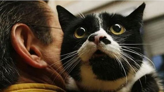 Las mañanas de RNE con Pepa Fernández