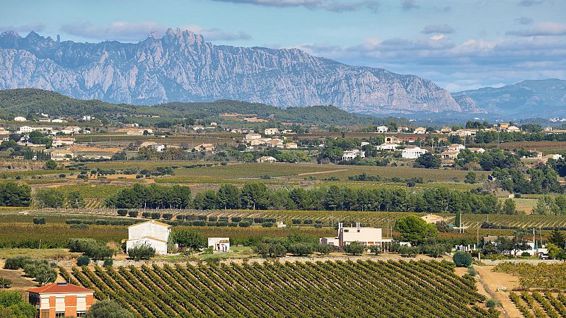 14 horas - Los vecinos de Castellet i la Gornal viven entre dos fases - Escuchar ahora