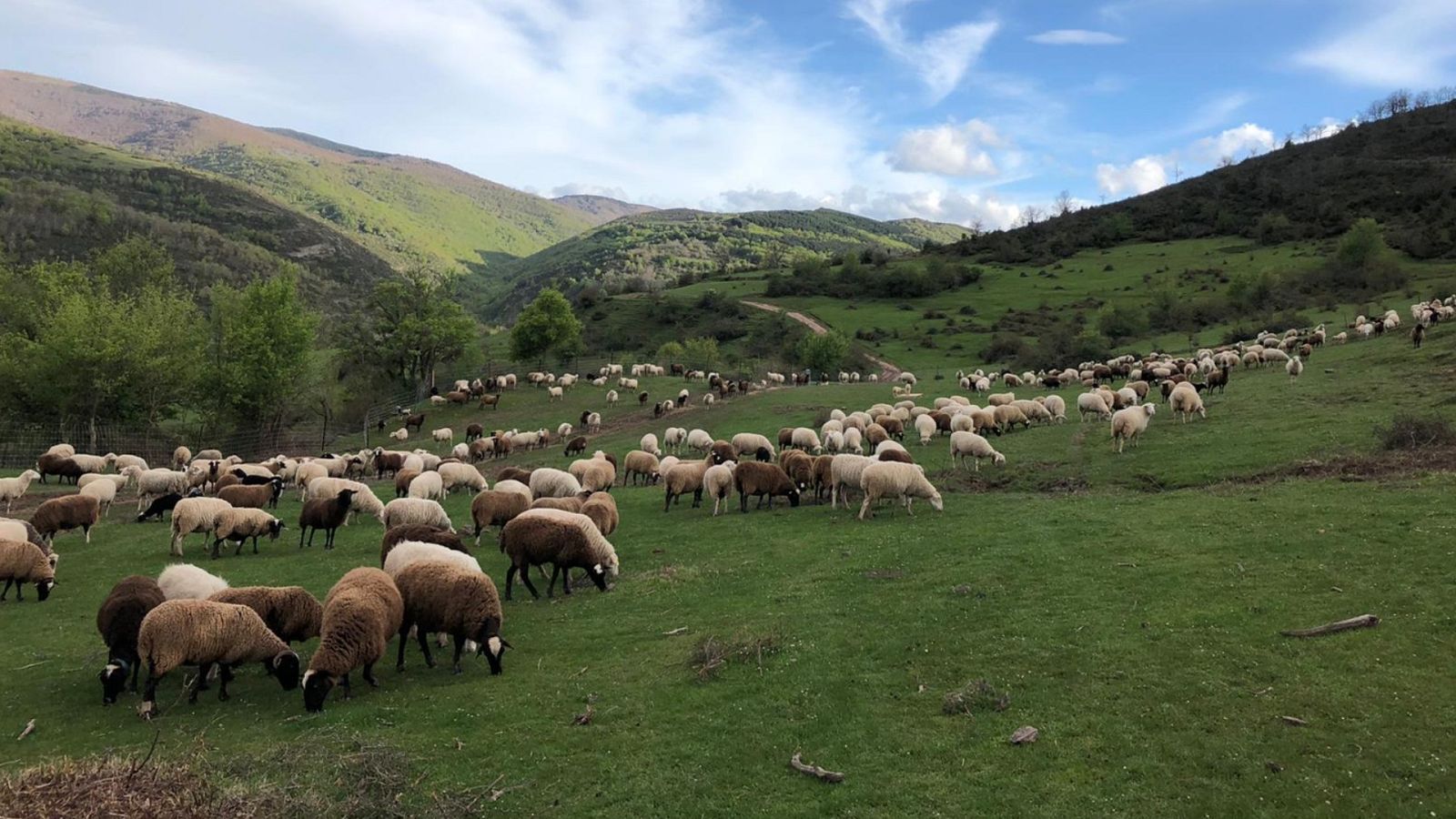 Esto me suena a pueblo - 17/05/20 - escuchar ahora