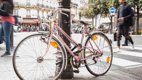 Todo Noticias - Tarde