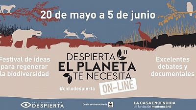 De cine - 'Despierta, el planeta te necesita 2020', en La Casa Encendida - 27/05/20 - Escuchar ahora