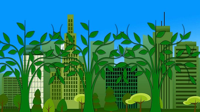 Reserva natural - El medio ambiente en la 'nueva normalidad' - 27/05/20 - escuchar ahora