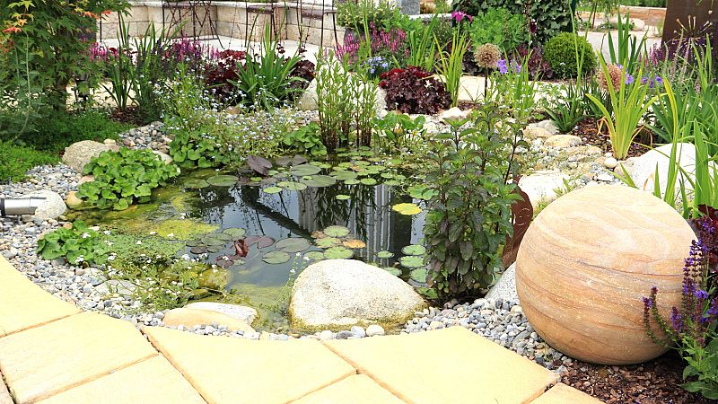 Contando cuentos en Radio 5 - La charca - 30/05/20 - Escuchar ahora