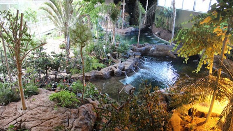 Reportajes Emisoras - Granada - Reapertura del Parque de las Ciencias - 02/06/20 - Escuchar ahora