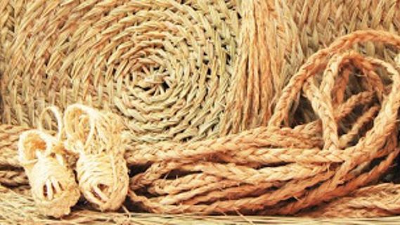 Tendencias en Radio 5