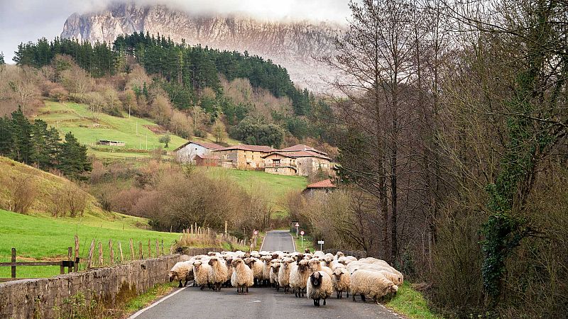 Nómadas - Vizcaya, naturaleza habitada - 06/06/20 - escuchar ahora