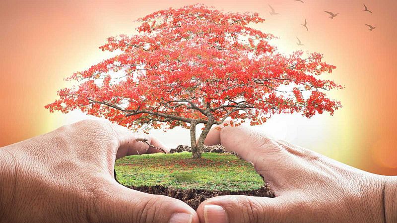 Solamente una vez - Reflexionamos sobre el Día Mundial del Medio Ambiente - 05/06/20 - escuchar ahora