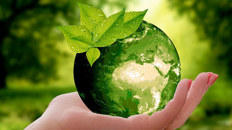 Miradas al exterior - Día Mundial del Medio Ambiente - 07/06/20 - Escuchar ahora