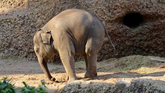 Contando cuentos en R5