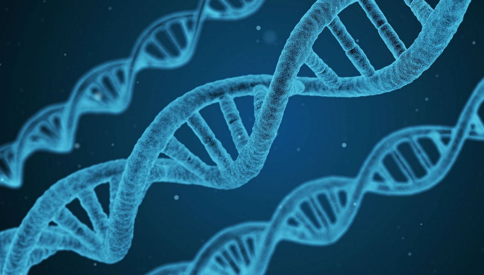 24 horas - En algún lugar de la ciencia ¿ El grupo sanguíneo y el coronavirus - Escuchar ahora
