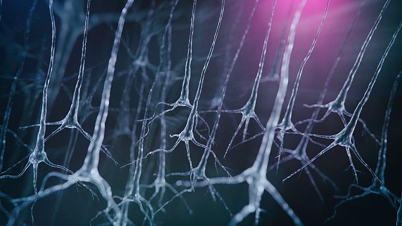 Boletines RNE - Confinamiento dentro del propio cuerpo: convivir con la ELA - Escuchar ahora