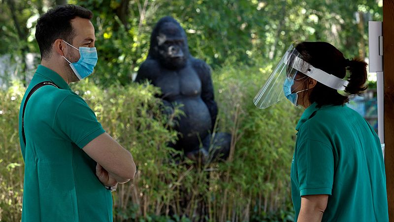 14 horas - El zoo y el parque de atracciones de Madrid reabren con la mitad del aforo - Escuchar ahora