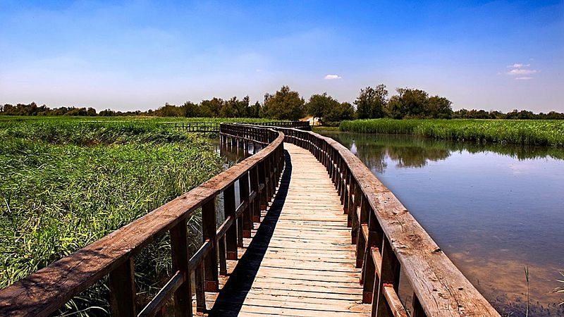 Escapadas - Lagunas y humedales manchegos - 25/06/20 - Escuchar ahora