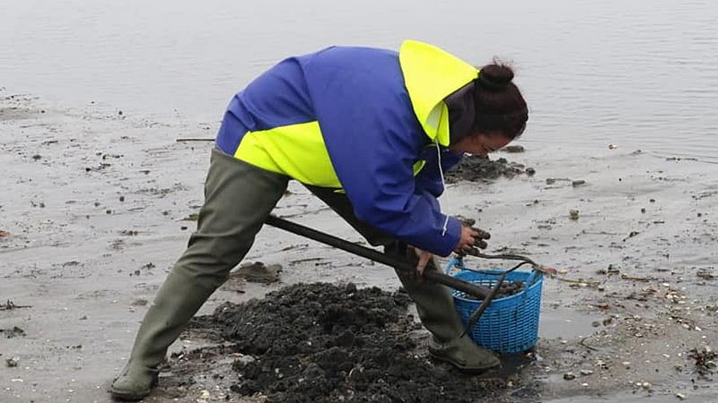 Tolerancia Cero - Mujeres del mar - 25/06/20 - escuchar ahora