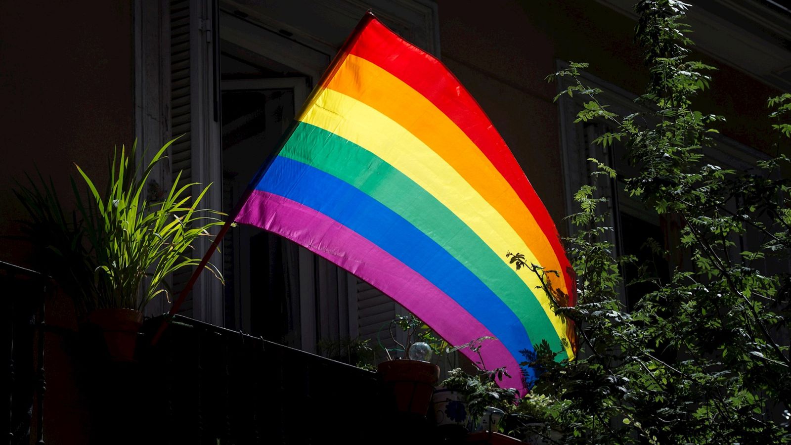 España a las 8 Fin de Semana - FELGTB: "Si la involución del discurso va hacia delante, va a haber un recorte de derechos" - Escuchar ahora