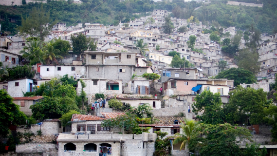 Todo Noticias - Tarde