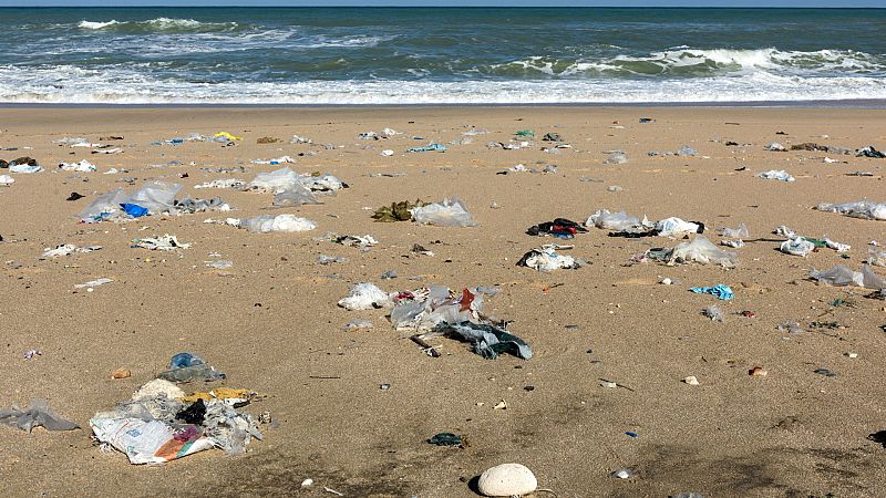 Planeta vivo - Banderas negras en nuestras playas - 01/07/20 - escuchar ahora