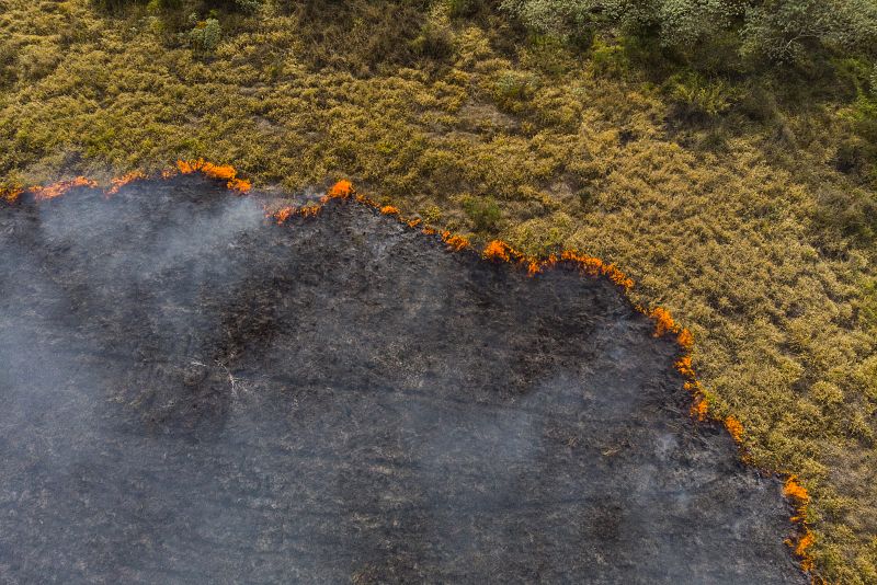  Todo Noticias Tarde - Los grandes incendios forestales, la traducción de la emergencia climática - Escuchar ahora 