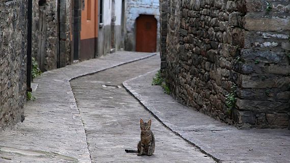 Futuro abierto