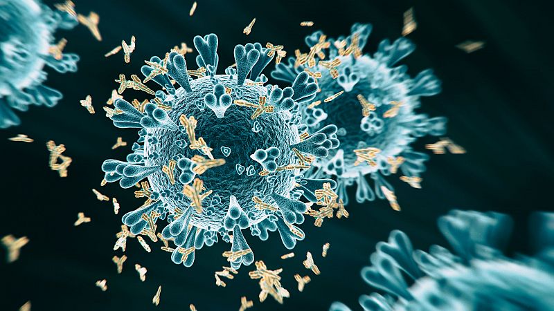  24 horas - En algún lugar de la ciencia - Los infectados de coronavirus sin anticuerpos  - Escuchar ahora