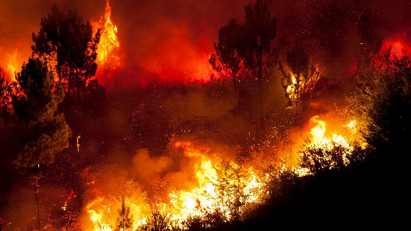 Mundo rural - Prevención de incendios forestales - 10/07/20 - Escuchar ahora