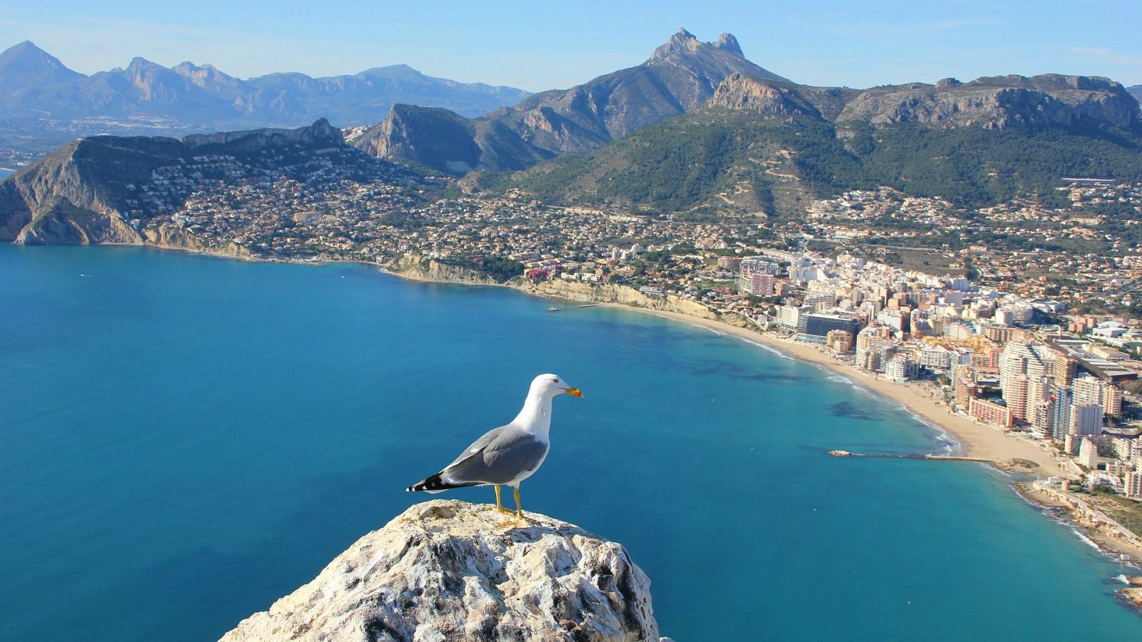 Nómadas - Alicante, de la playa a las alturas - 11/07/20 - escuchar ahora