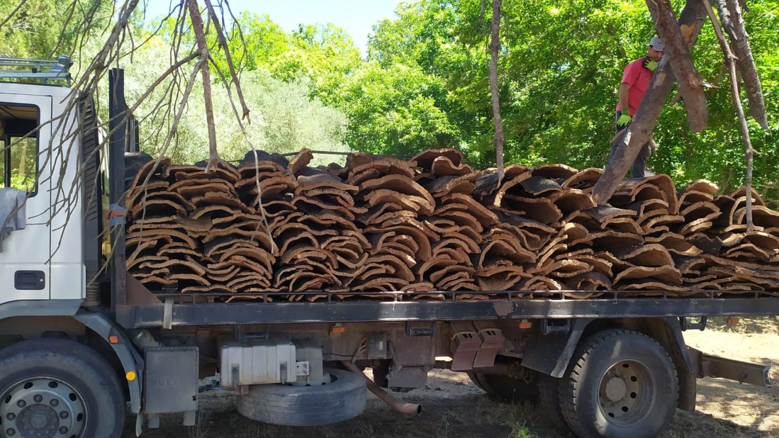 Esto me suena a pueblo - 12/07/20 - escuchar  ahora